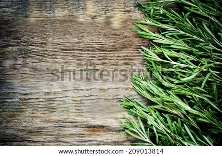 rosemary on a dark wood background. toning. selective focus on the left middle rosemary