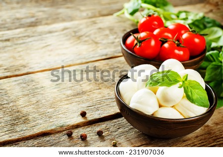 mozzarella cheese on a dark wood background. tinting. selective focus on Basil