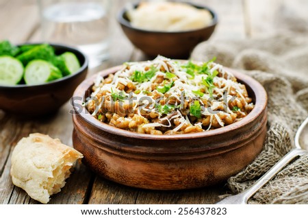 mushroom and barley stew with cheese on a dark wood background. tinting. selective focus
