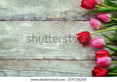red and pink tulips on a white wood background. tinting. selective focus
