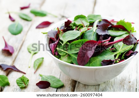 mix salad Romaine, arugula, spinach, mizuna, chard, oak salad on a white wood background. tinting. selective focus