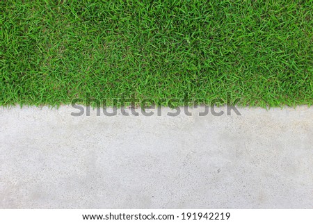 Green grass texture with concert background