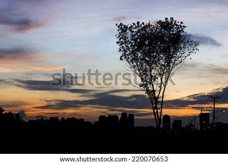 Tree and city silhouette