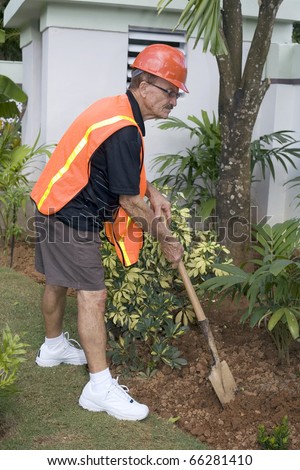 Senior does his own yard work.    He is in his seventies.  Photographed in Bayamon, Puerto Rico in December, 2009.