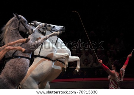 NEW YORK, NEW YORK - NOVEMBER 15: Horses perform with trainer  during Big Apple Circus show.  Taken November 15, 2007 in New York City.