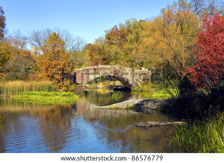 Central Park during the Fall or Autumn season in New York City.