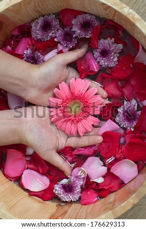 Hands spa with flowers for young lady