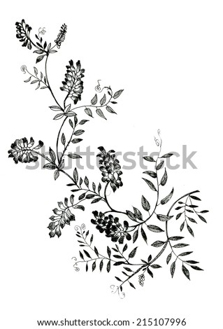 Watercolor flowers illustration in black and white vector illustration