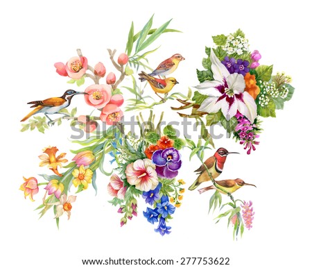 Watercolor Wild exotic birds on flowers pattern on white background vector illustration