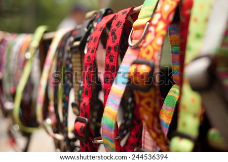 Dog collars for sale in pet store