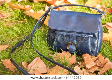 Small bag on the green grass with autumn maple leaf