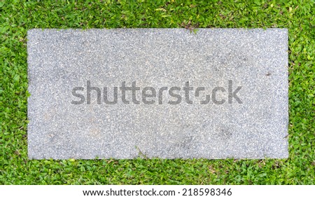 Walkway in front yard with grasses background banner