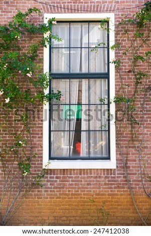 Vintage window surrounding by climber tree with white curtain inside