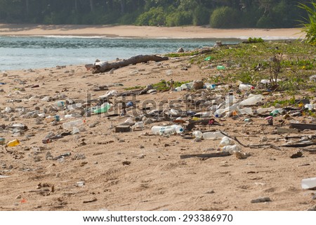 Dirty beach on the island of Little Andaman in the Indian Ocean littered with plastic. Pollution of coastal ecosystems, natural plastic and beaches.