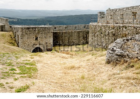 Stone gothic walls and castle port, mist above forest in the background.