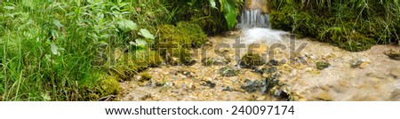 Stream with small cascade and plants around.
