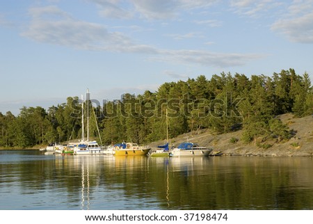 Port with boats in evening light