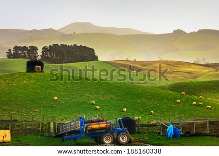 A Beautiful Sheep\'s Farm in New Zealand on way to Mount Cook.