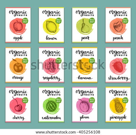 Hand drawn fruits banners set. Organic eco food. Fruits and berries sketch vector illustration. Plum, Lemon, Orange, Apple, Watermelon, Peach, Strawberry, Banana, Pear, Pineapple, Raspberry, Cherry.