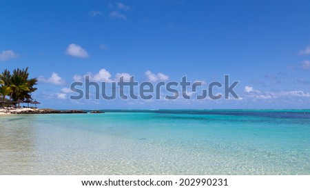 ocean view with clear turquoise clear water and beach with umbrellas and palm trees