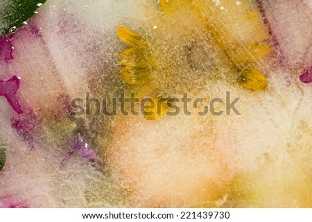 creative abstract of flowers in shades of yellow and ice with air bubbles