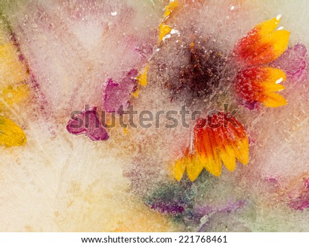 creative abstraction of colorful frozen fresh flowers in yellow and red colors ice with bubbles of air