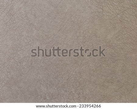 textured beige brown rough soft skin of the animal