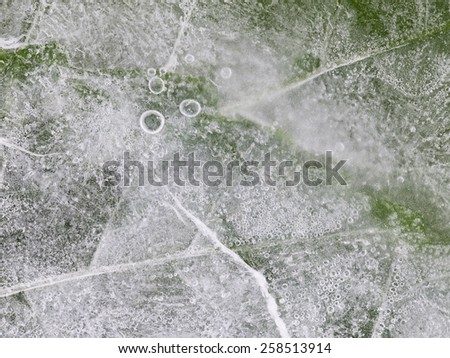 abstraction thin ice with bubbles and white frost on green leaves streaked horizontally