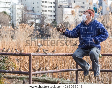 Tokyo - February 4, 2015: A lot of sparrows flying around and try to sit down for a meal at the hand of an old man in a white medical mask sitting on the banisters of February 4, 2015, Tokyo, Japan