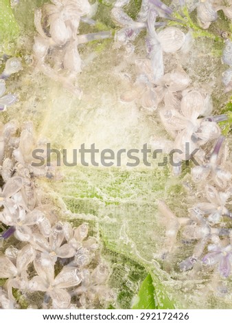vertical beautiful delicate flower floral abstraction in pastel shades of colors frozen in ice with air bubbles
