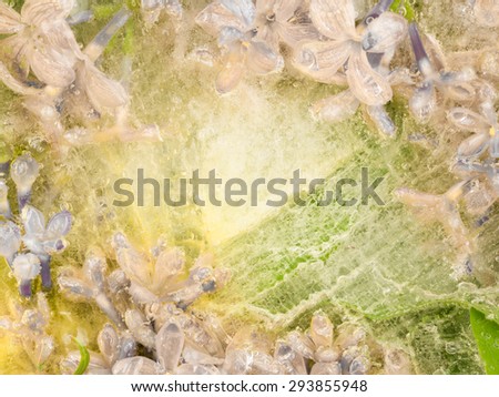 Beautiful floral floral abstraction in pastel shades of the frozen ice flowers of lilac flowers and a lot of air bubbles