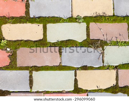 old garden path of colored brick with dents, bumps and spots and joints are filled with soft green moss