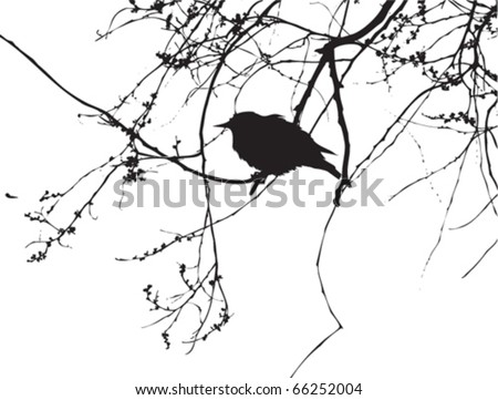 Bird Tree Silhouette