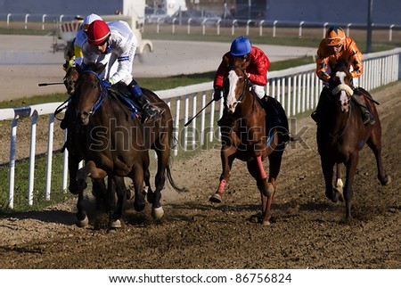 BELGRADE,SERBIA-OCTOBER 16:Unidentified horses and jockeys in gallop in race\