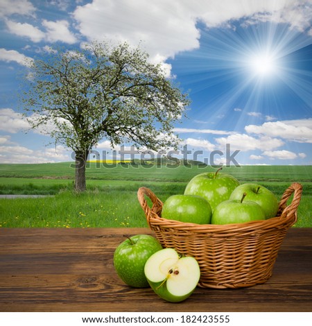 Photo of green apples in basket with apple tree on a field