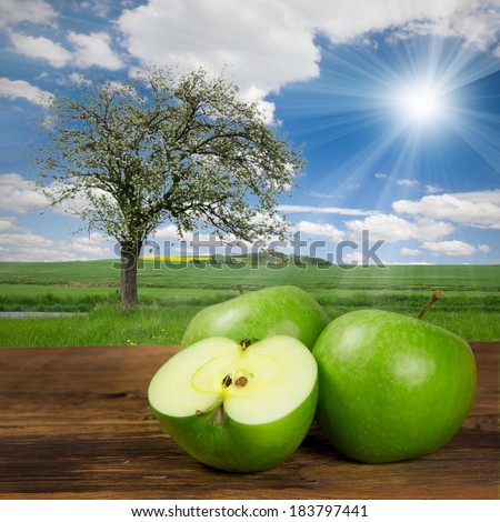 Photo of green apples with apple tree on a field