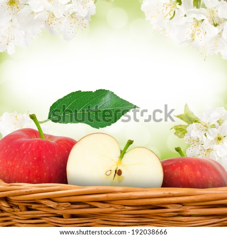 Photo of red apples in basket with apple blossom background