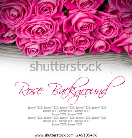 Abstract background made of rose blooms with white space for text