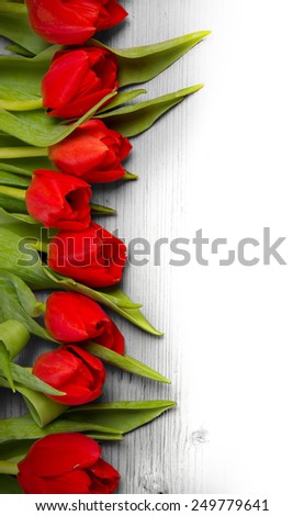 Abstract background made of tulip blooms with white space for text