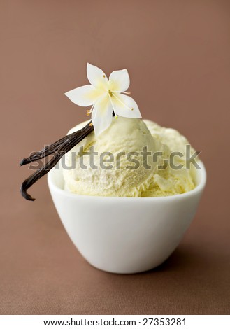 http://image.shutterstock.com/display_pic_with_logo/202939/202939,1238019153,1/stock-photo-vanilla-on-ice-cream-in-a-bowl-27353281.jpg