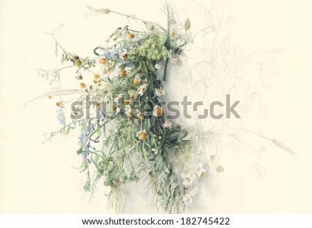Wreath of wildflowers /Hand painted/  Watercolor illustration of wildflowers (chamomile) braided in a wreath, against off-white background.