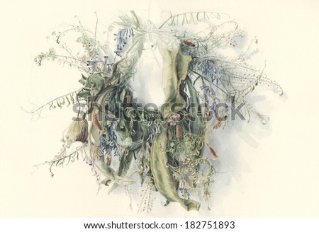 Wreath of wildflowers /Hand painted/  Watercolor illustration of wildflowers and mullein leaf braided in a wreath, against off-white background.