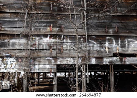 Ruined old tobacco barn with missing boards, overgrown by vines and trees, bearing letters and spots of white paint. The gap in the wall opens up to the dark space behind. Background.