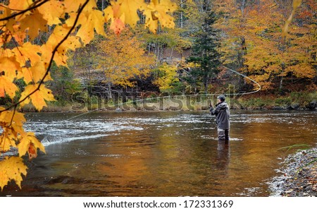 A fly fisherman fishing for Atlantic Salmon on the Margaree River in the fall.