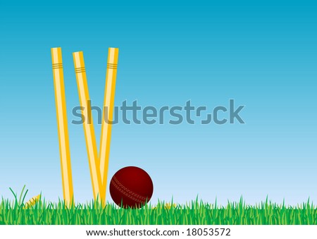 cricket ball and stumps. stock photo : Cricket ball in