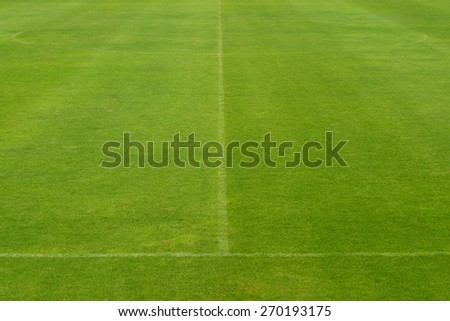 beautiful pattern of fresh green grass for football sport, football field, soccer field, team sport texture