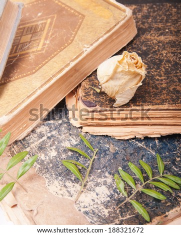 Dried flowers and leaves on old books