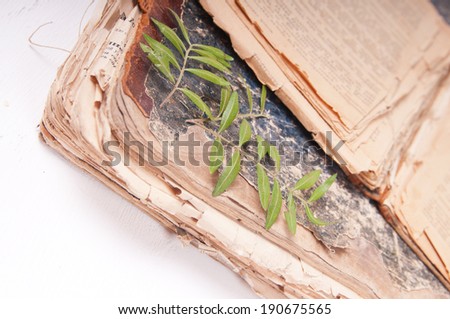 Dried flowers and leaves on old books
