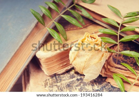 Dried flowers and leaves on old books, retro toned