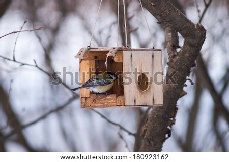 Bird feeders hanging on the tree. Help people to animals